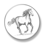 horse racing news android application logo